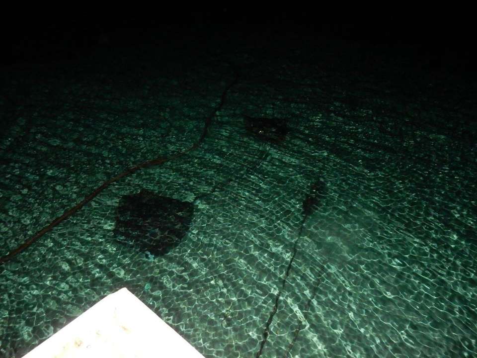 Rochen Nacht am Steg Kuredu Island Resort & Spa