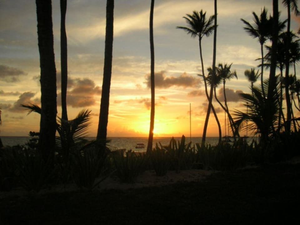 Sonnenaufgang am Strand des Palladium Palace Hotel Grand Palladium Palace Resort, Spa & Casino