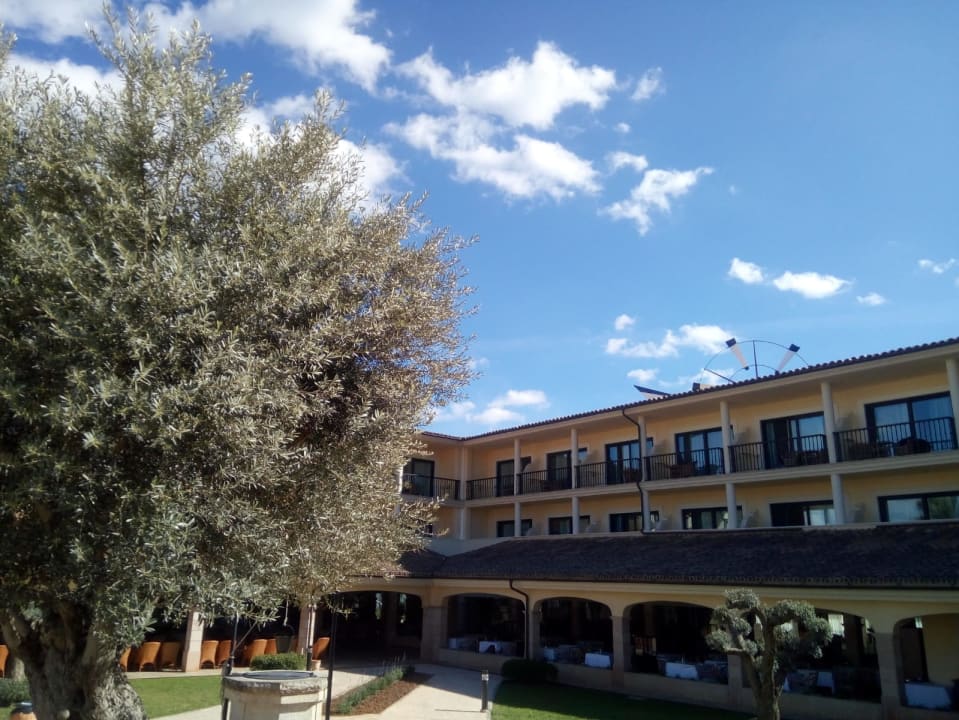 Gartenanlage CM Mallorca Palace - Adults Only