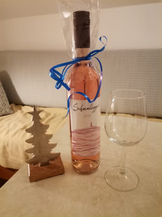 Gastro Wilfinger Bio Thermen Hotel