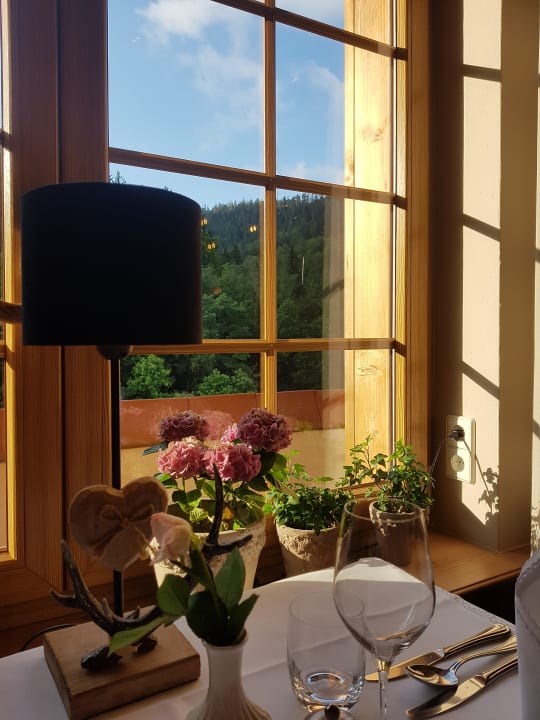 Ausblick Wellnesshotel Forsthaus Auerhahn