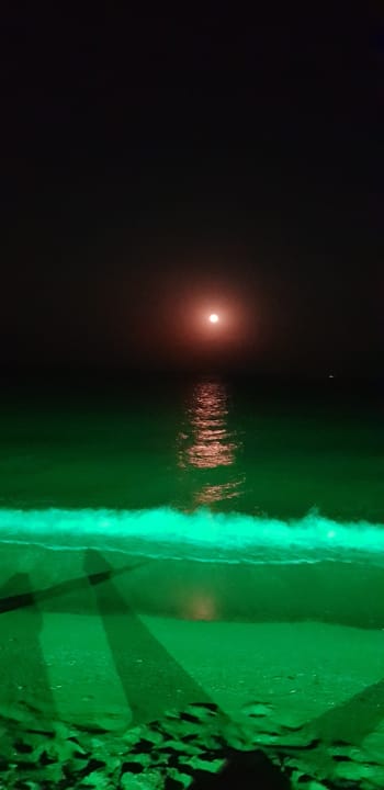 Strand HVD Viva Club Hotel