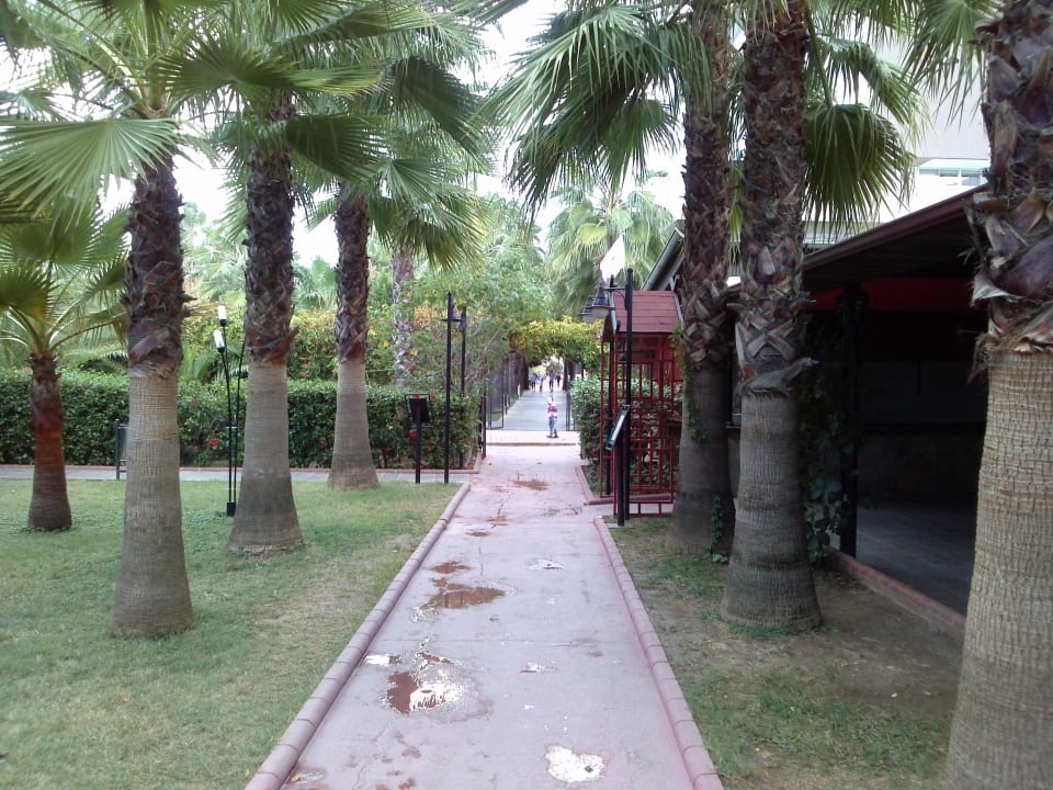 Weg zum Hotel  vom Strand Hotel Royal Garden Beach