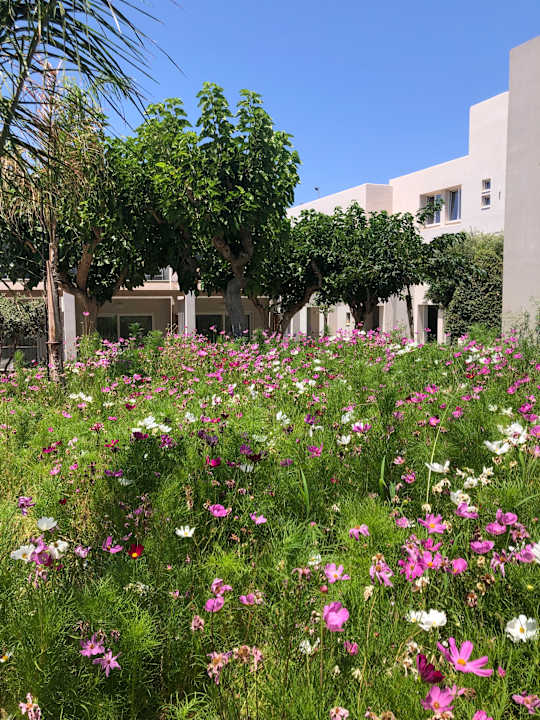 Gartenanlage Anissa Beach & Village