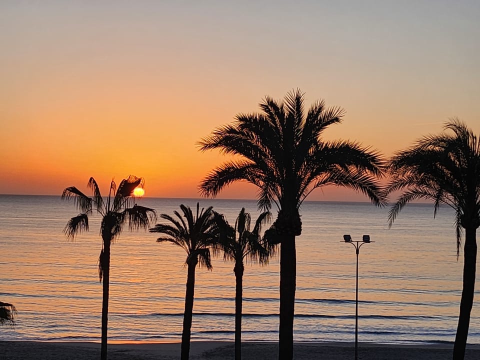 Ausblick CM Playa del Moro