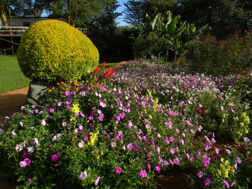 Liebevoll gepflegter Garten Ngorongoro Farm House