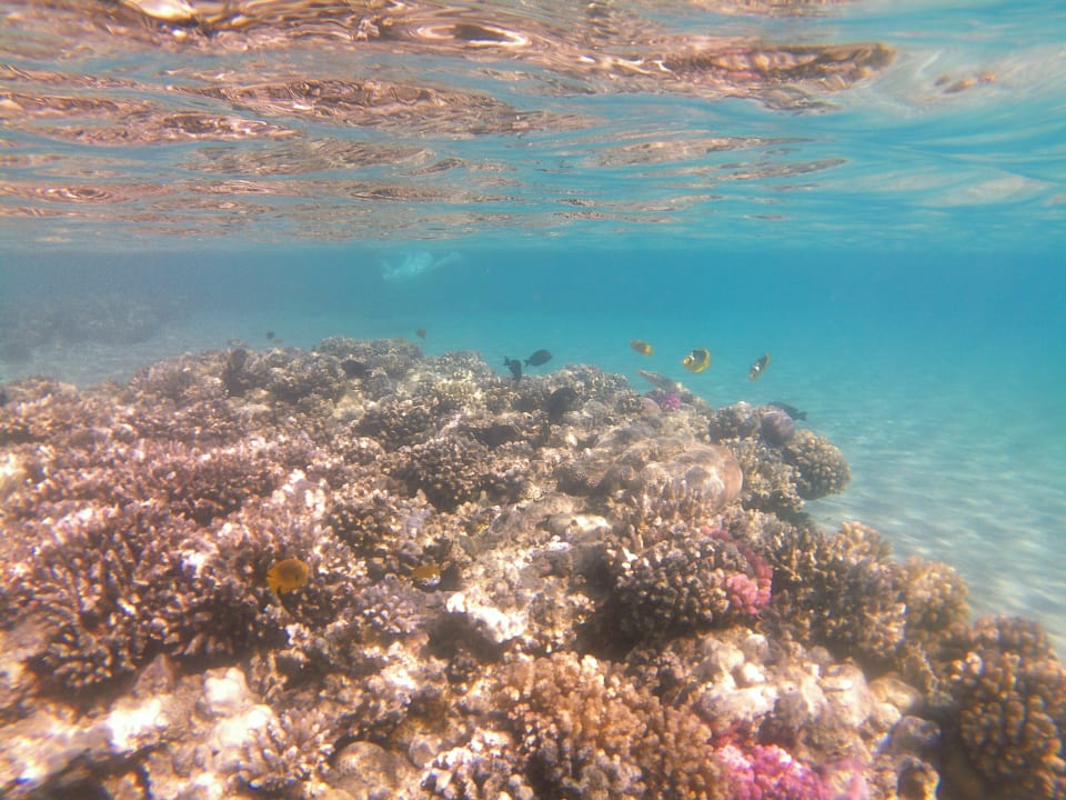 Strand Fort Arabesque Resort, Spa & Villas