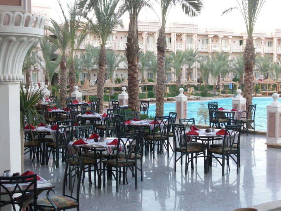 Terrasse Pickalbatros Palace Resort