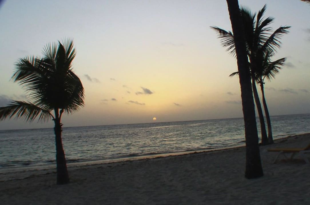 Sonnenaufgang Catalonia Punta Cana - All Inclusive