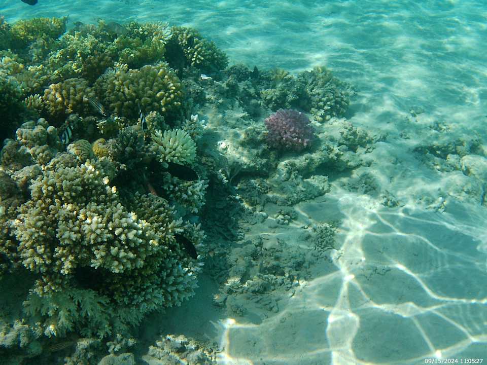 Strand The V Luxury Resort Sahl Hasheesh