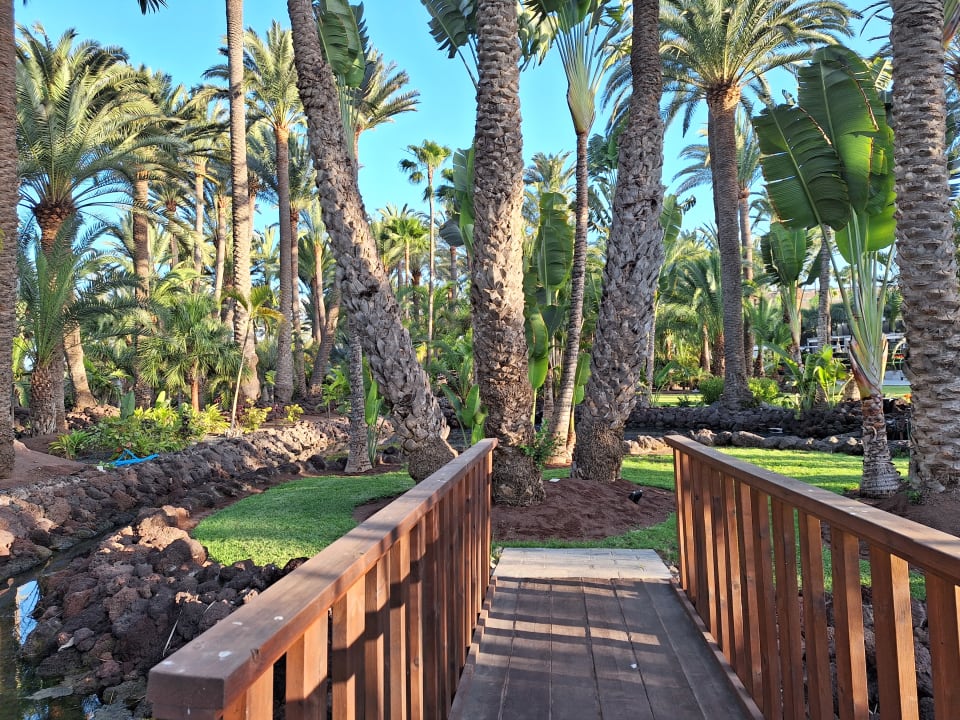 Gartenanlage Hotel Riu Palace Oasis