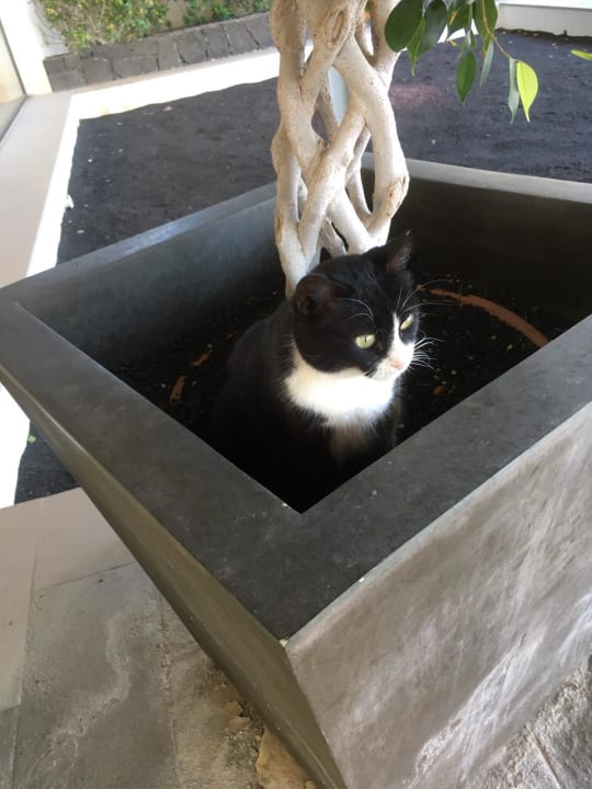 Sonstiges Hotel Costa Calero