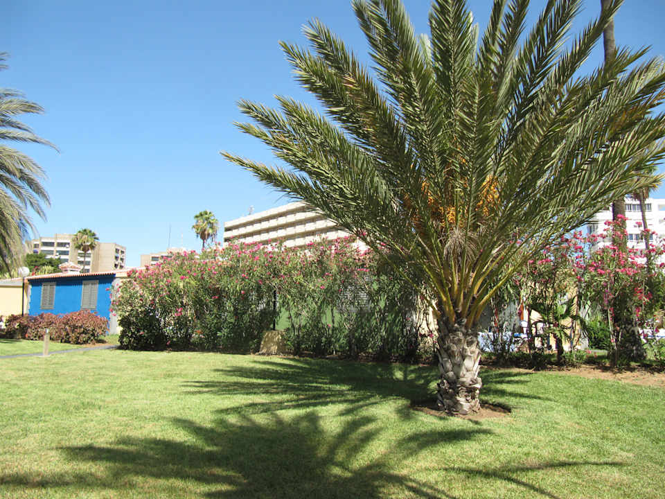 Garten HL Miraflor Suites Hotel