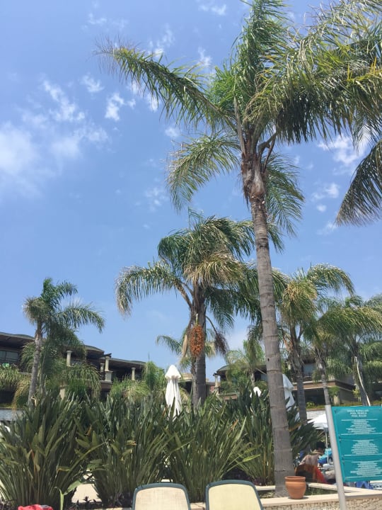 Traumhaft Sunis Kumköy Beach Resort Hotel & Spa