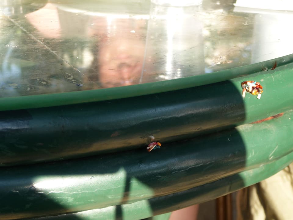 Verdrecktes Poolbartischchen MC Beach Park Resort Hotel