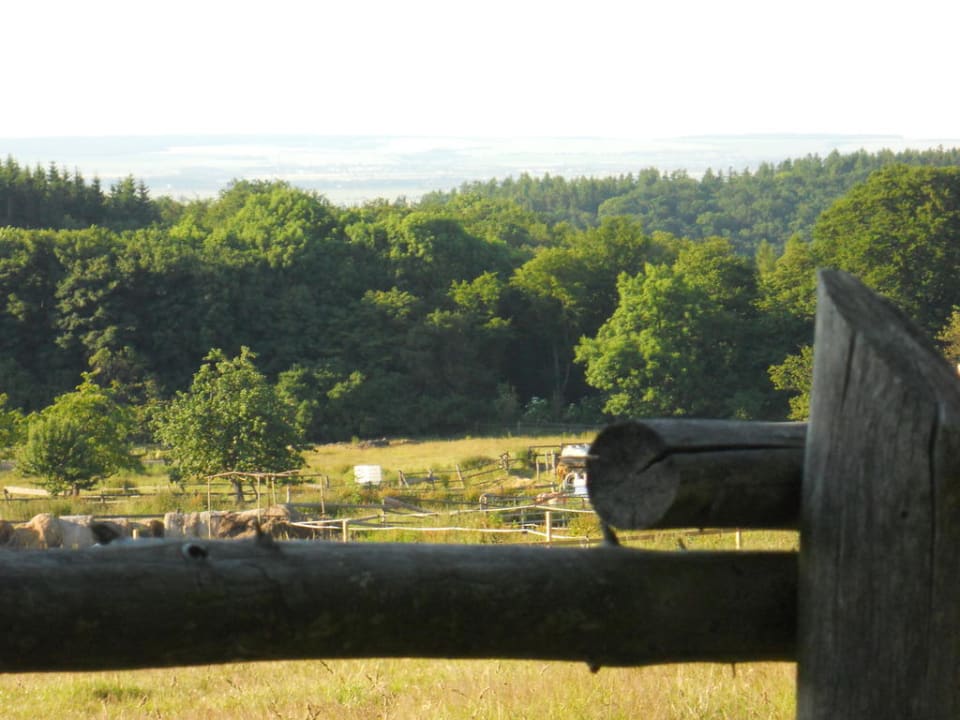 Pferdekoppel Ferienanlage Reiterhof Pilger