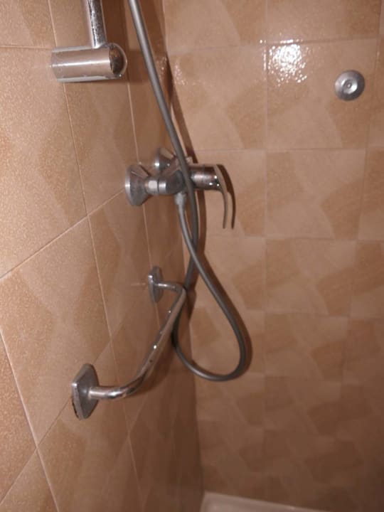 Zimmer Pension Alla Pineta