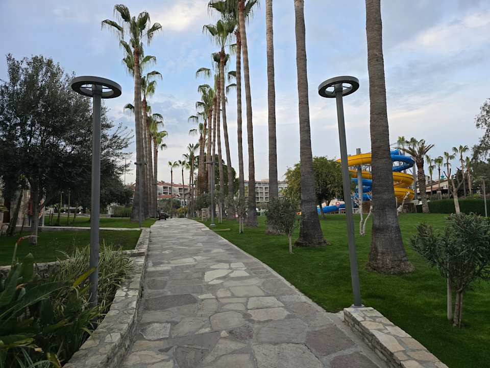 Sonstiges Arum Barut Collection
