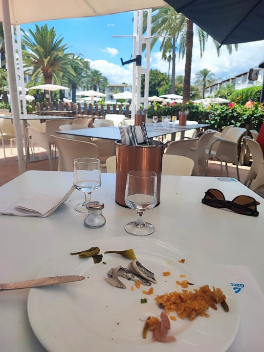 Gastro Alcudia Garden Aparthotel