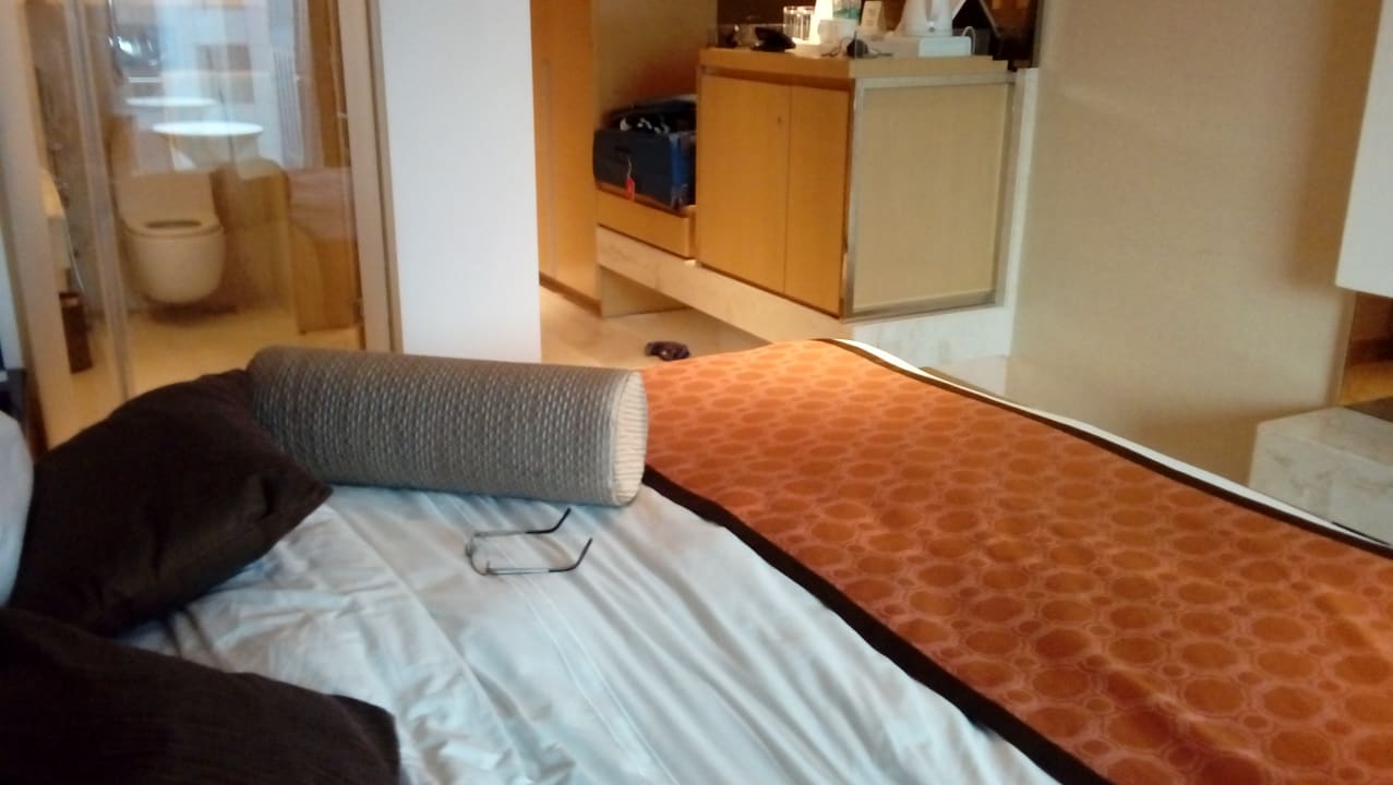 Zimmer Pride Plaza Hotel, Aerocity New Delhi