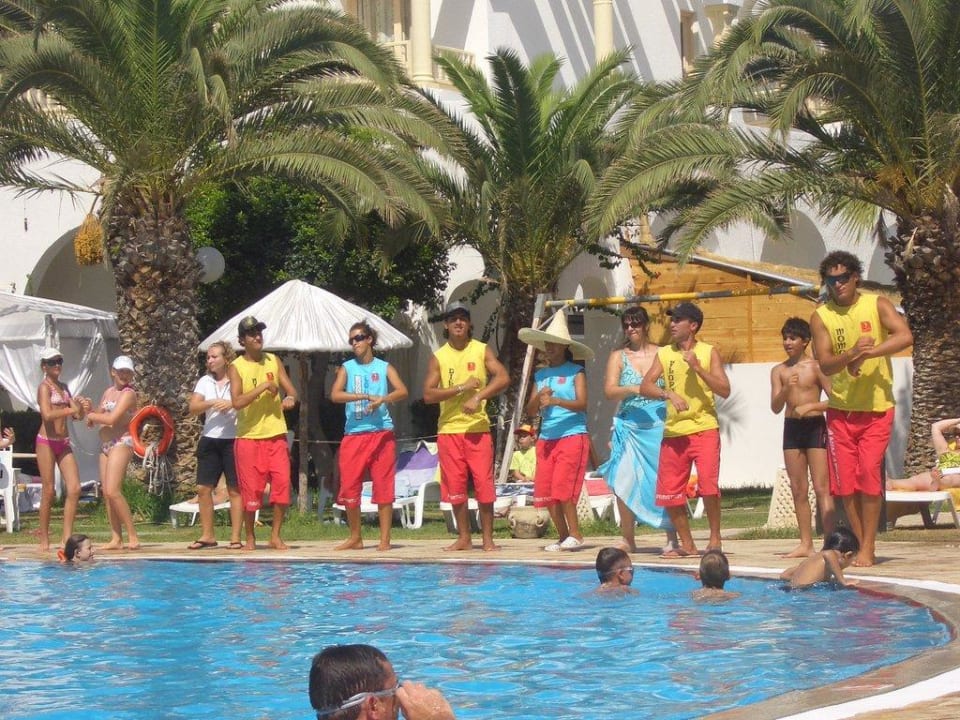 Animation Delphin El Habib