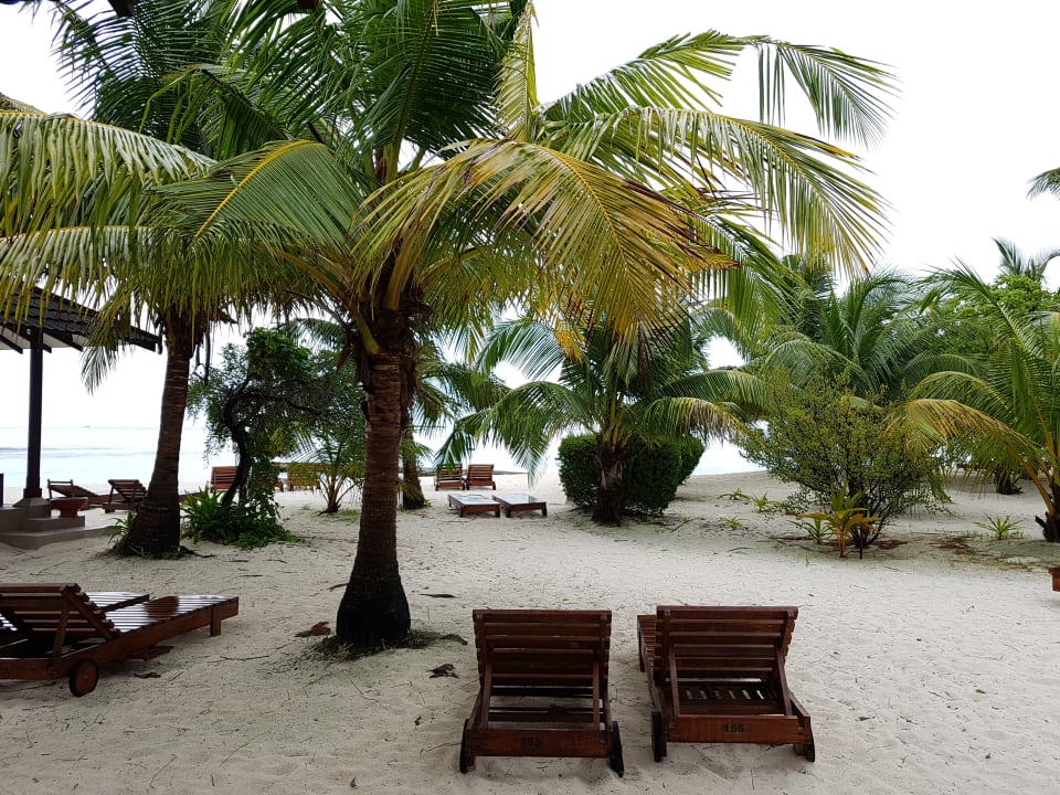 Strand Adaaran Select Meedhupparu Island Resort - Premium All Inclusive