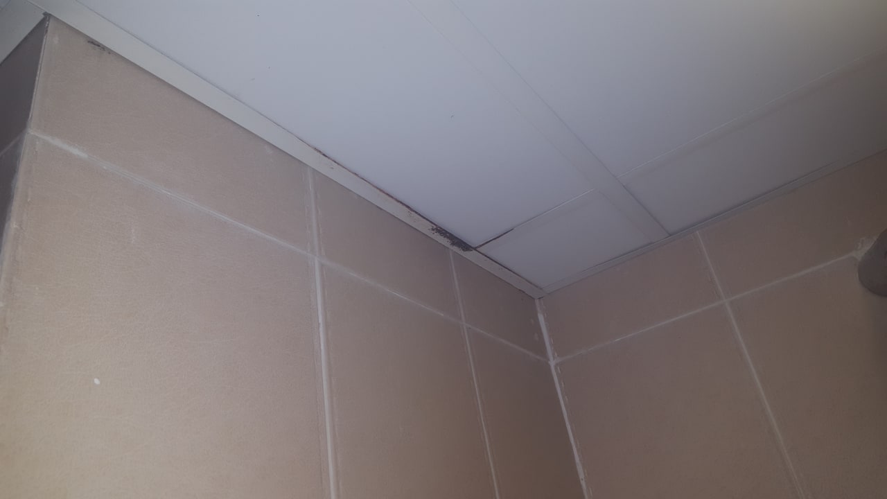 Zimmer Beach Albatros Resort