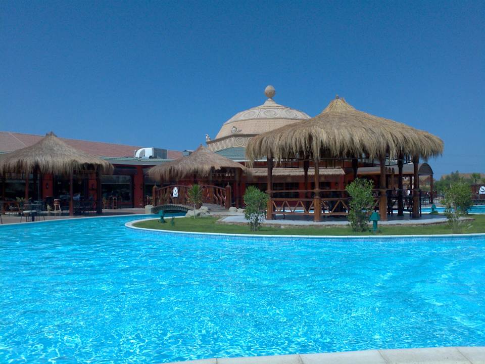 Blick von der Liege auf einen der vielen Pools Pickalbatros Jungle Aqua Park Resort - Neverland Hurghada