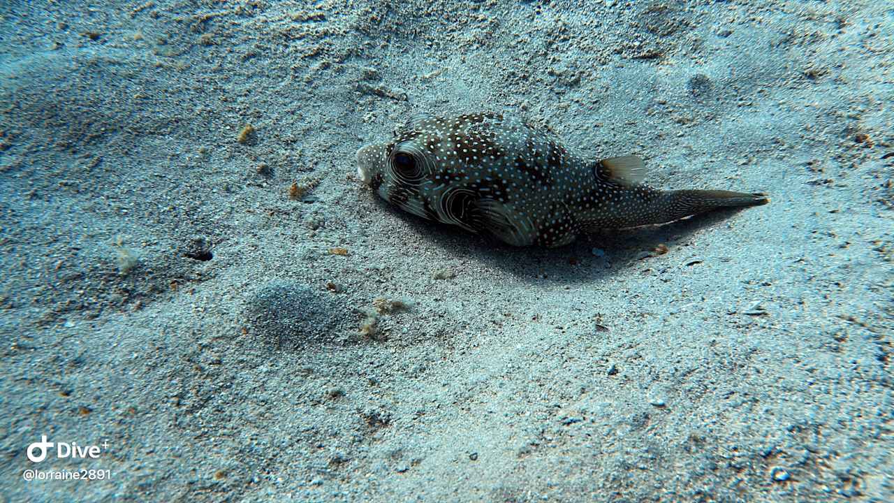 Sonstiges Bliss Nada Beach Resort