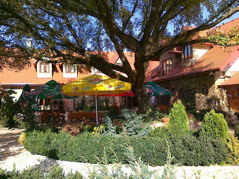 Mały ogród Hotel Zajazd Kmicic