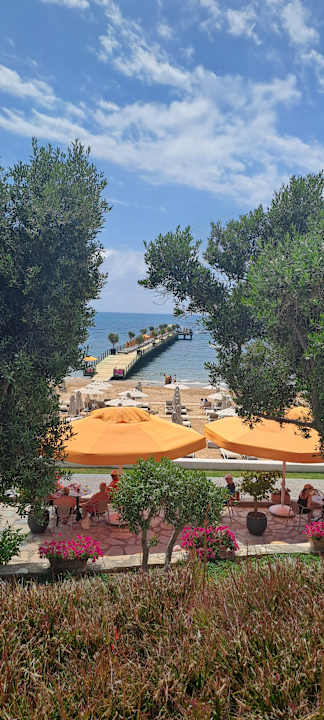 Ausblick Arum Barut Collection