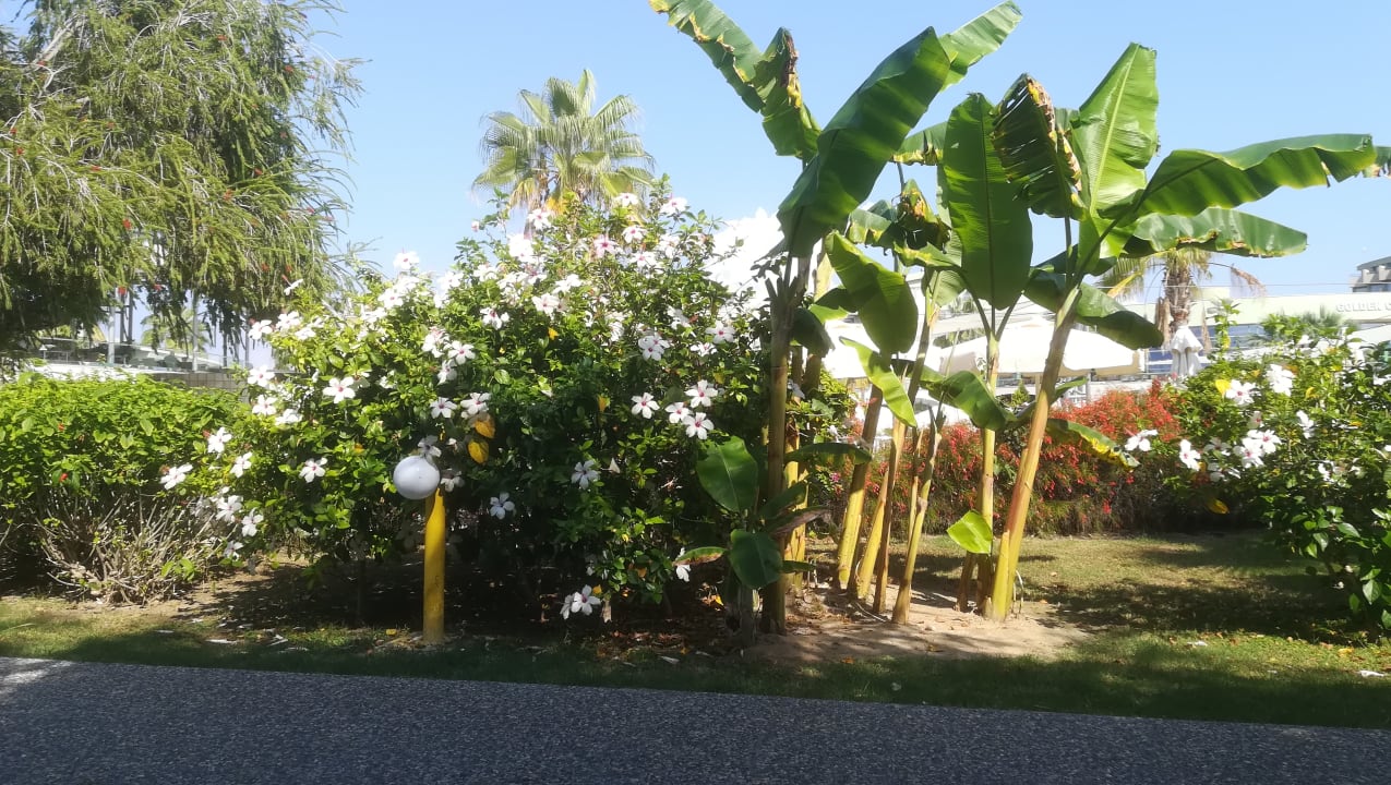 Garten VONRESORT Golden Coast