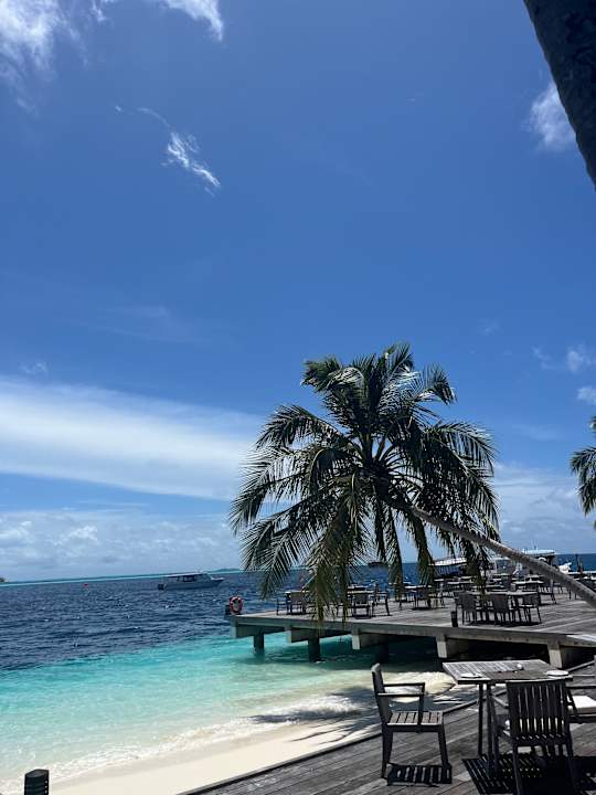 Gastro Vilamendhoo Island Resort & Spa