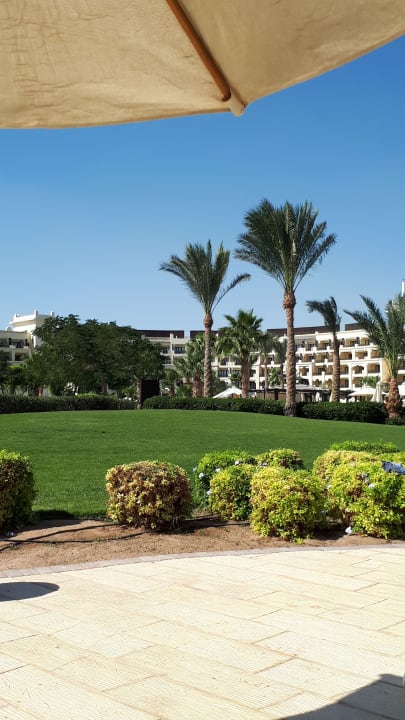 Gartenanlage Steigenberger ALDAU Beach Hotel