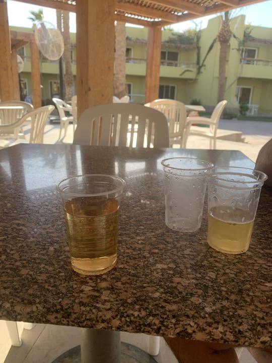 Gastro Palm Beach Resort