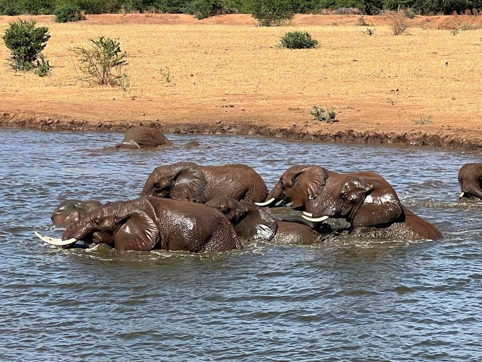 Ausblick Voi Wildlife Lodge