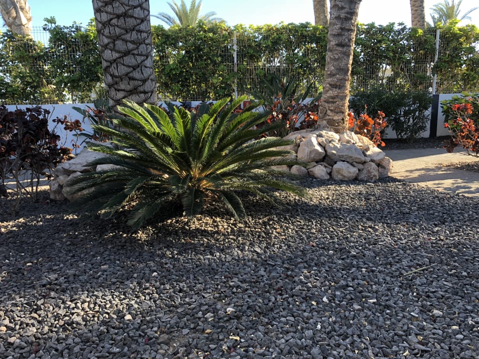 Gartenanlage R2 Romantic Fantasia Suites - Adults only