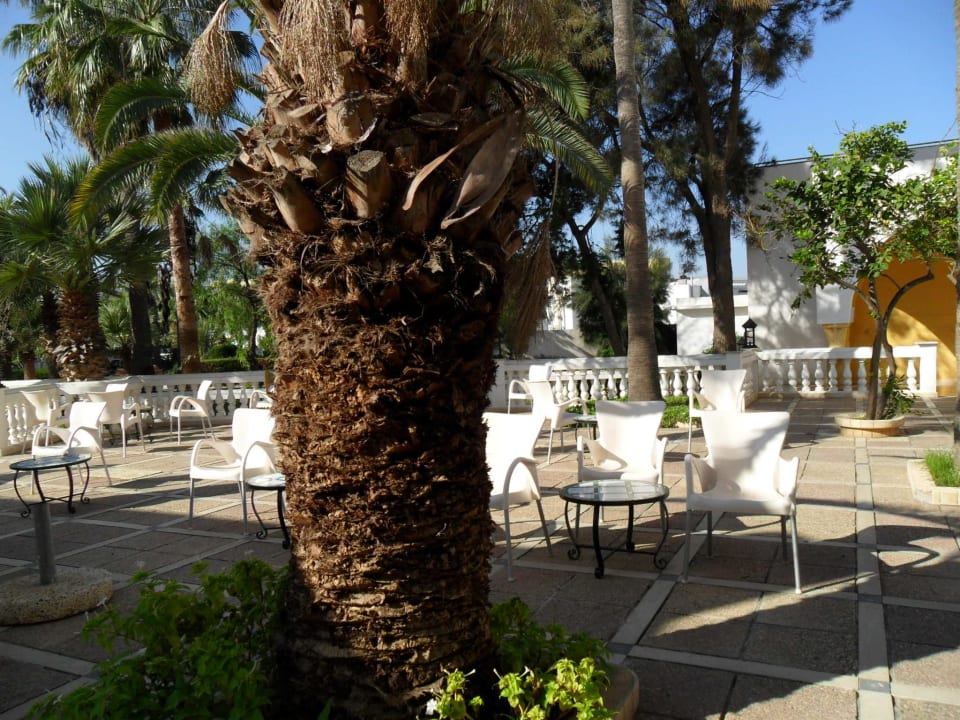 Petit patio à l'entrée de l'hôtel Alassio Hotel and Thalasso