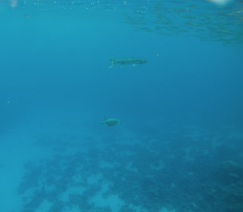 Strand Casa Mare Resort