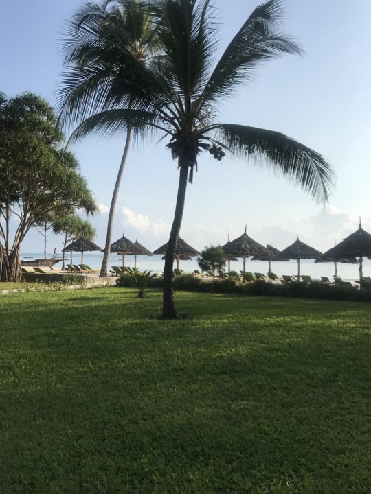 Gartenanlage Hotel Kiwengwa Beach Resort