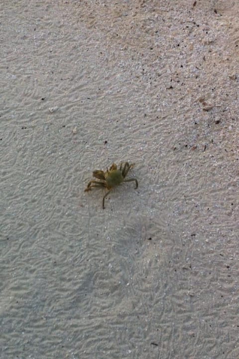 Strand Kuramathi Maldives