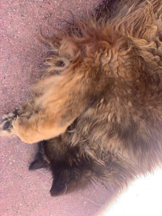 Sonstiges Marriott Hurghada Beach Resort