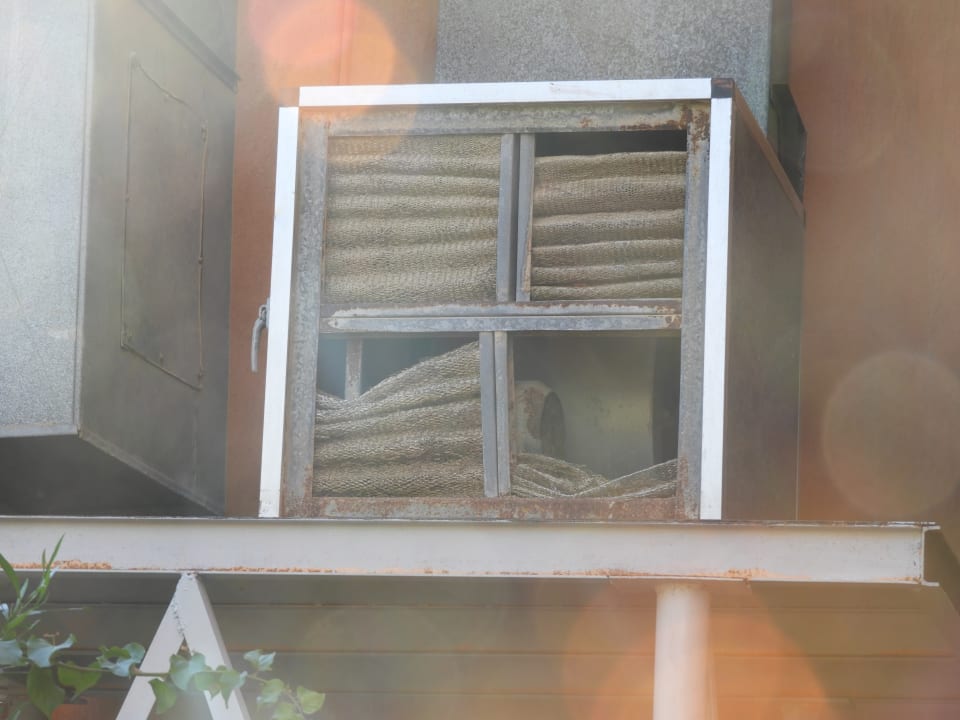 Gartenanlage Hotel Blue Lagoon