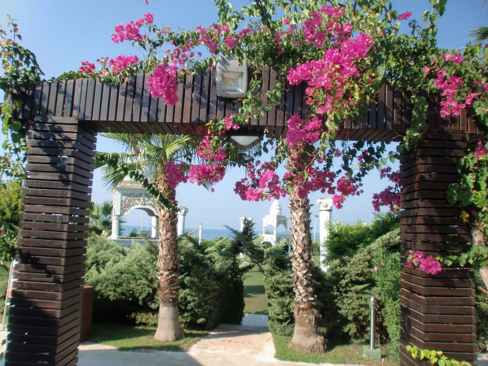 Blumen und grün wohin man schaut Alba Resort Hotel