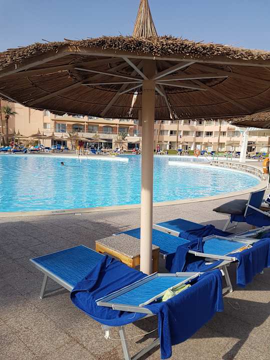 Pool Beach Albatros Resort