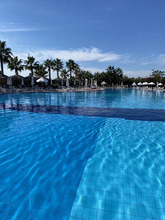 Pool Paloma Oceana
