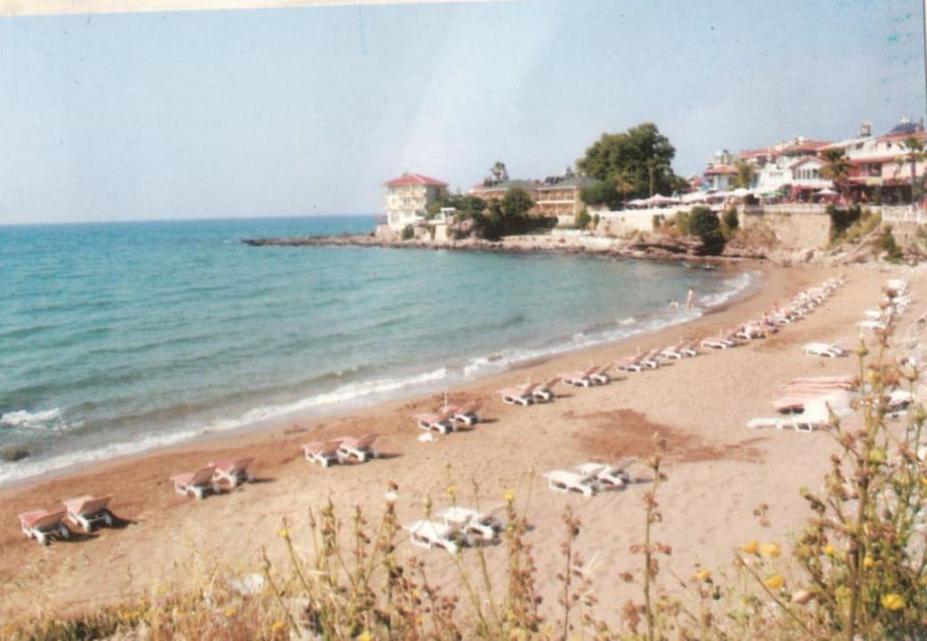 Strand Cicek Pension