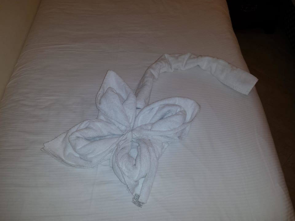 Tiere aus Handtüchern  Titanic Resort & Aqua Park