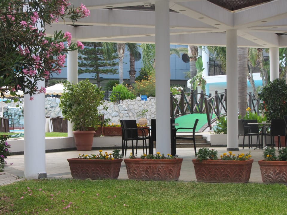 Gartenanlage Hotel Calypso Beach