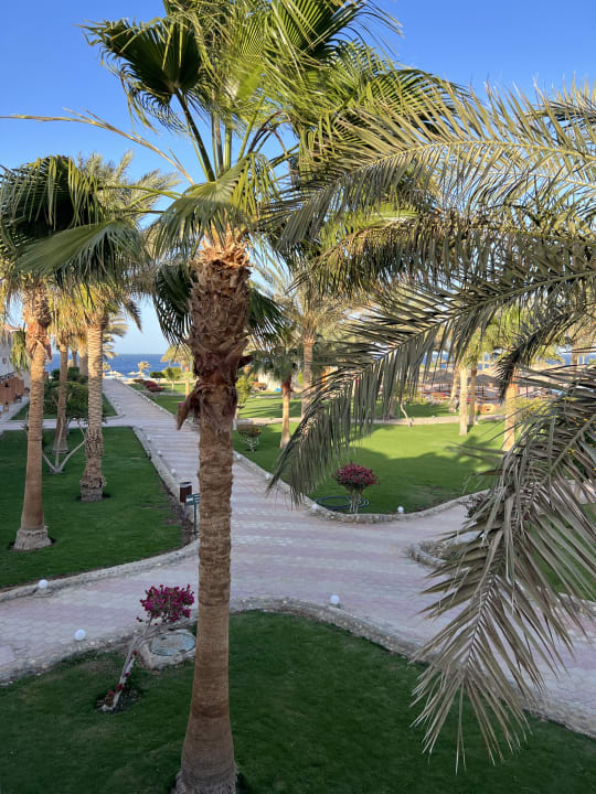 Außenansicht Three Corners Sea Beach Resort